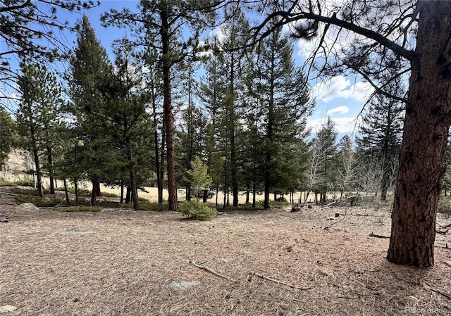 30317 Aspen Turn, Buena Vista, CO 81211