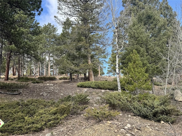 30317 Aspen Turn, Buena Vista, CO 81211
