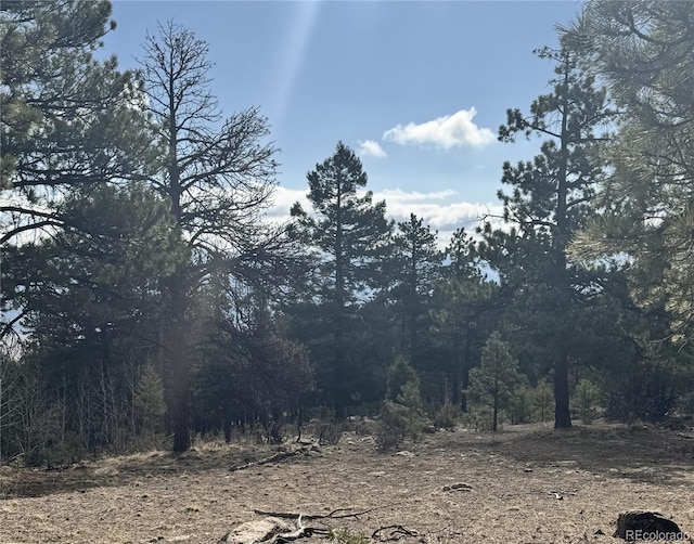 30317 Aspen Turn, Buena Vista, CO 81211