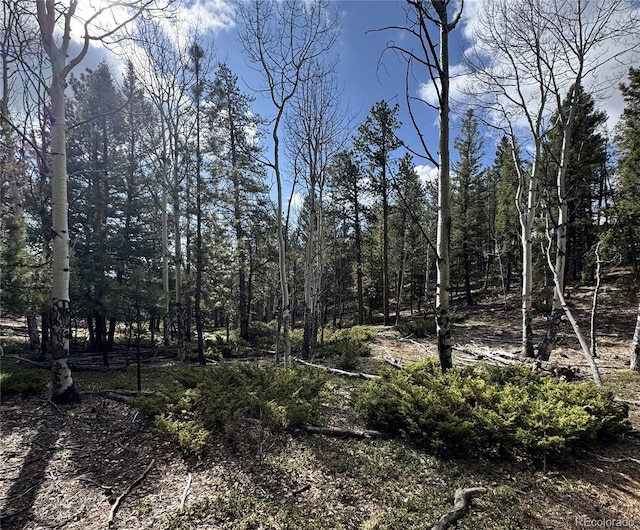 30317 Aspen Turn, Buena Vista, CO 81211