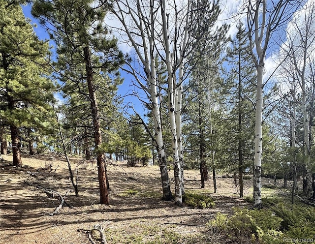 30317 Aspen Turn, Buena Vista, CO 81211