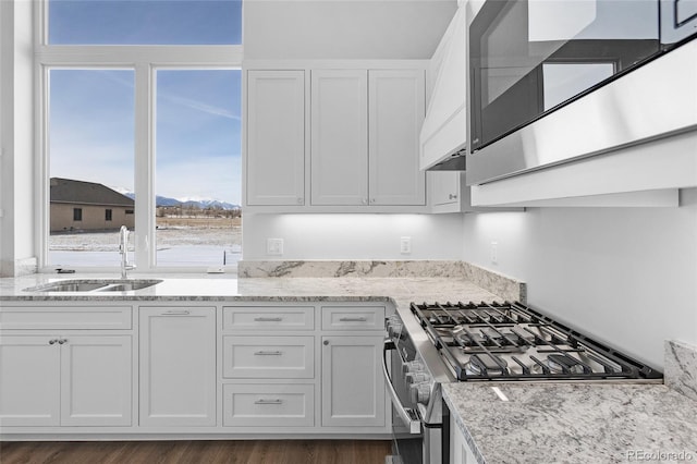 kitchen with dark hardwood / wood-style floors, sink, white cabinetry, appliances with stainless steel finishes, and light stone counters