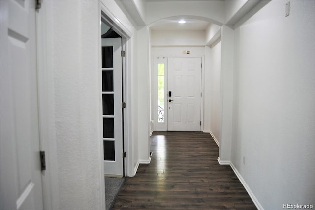 interior space featuring dark hardwood / wood-style floors