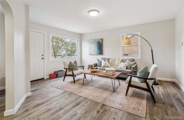 living room with light hardwood / wood-style flooring