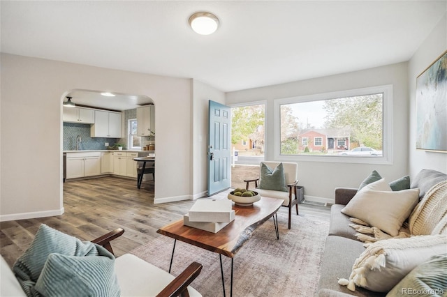 living room featuring plenty of natural light, light hardwood / wood-style floors, and sink