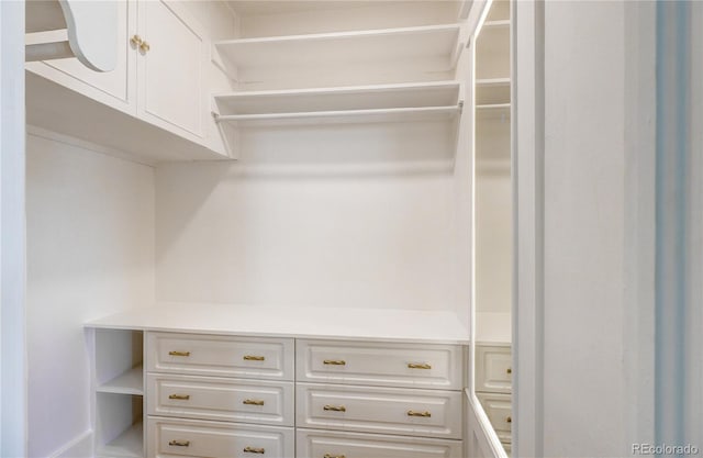 4818 Bryant St, Denver, CO 80221 - view of walk in closet