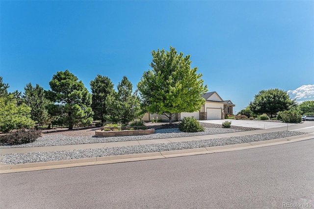5289 Fairfield Cir, Castle Rock, CO 80104 - view of property hidden behind natural elements featuring concrete driveway and a garage
