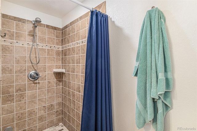 5289 Fairfield Cir, Castle Rock, CO 80104 - bathroom featuring a stall shower