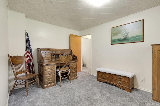 office with carpet floors
