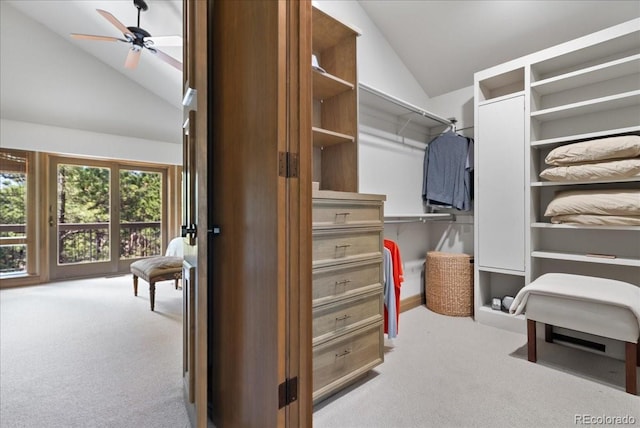 2140 Fox Acres Dr E, Red Feather Lakes, CO 80545 - photo 29