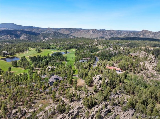 2140 Fox Acres Dr E, Red Feather Lakes, CO 80545 - photo 48