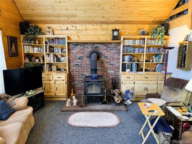 10990 US Highway 50, Howard, CO 81233 - photo 8