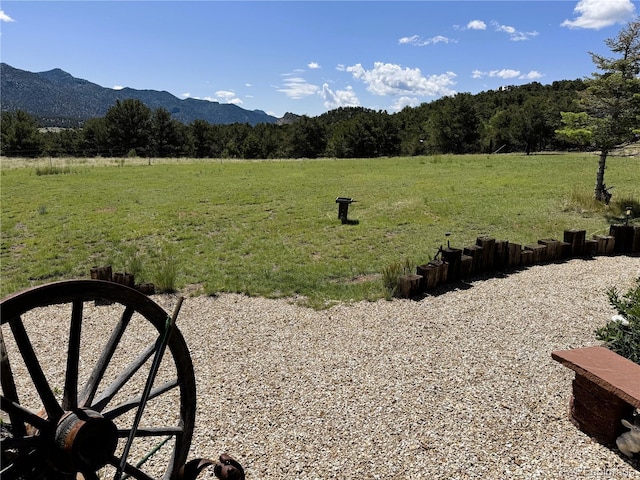 10990 US Highway 50, Howard, CO 81233 - photo 23