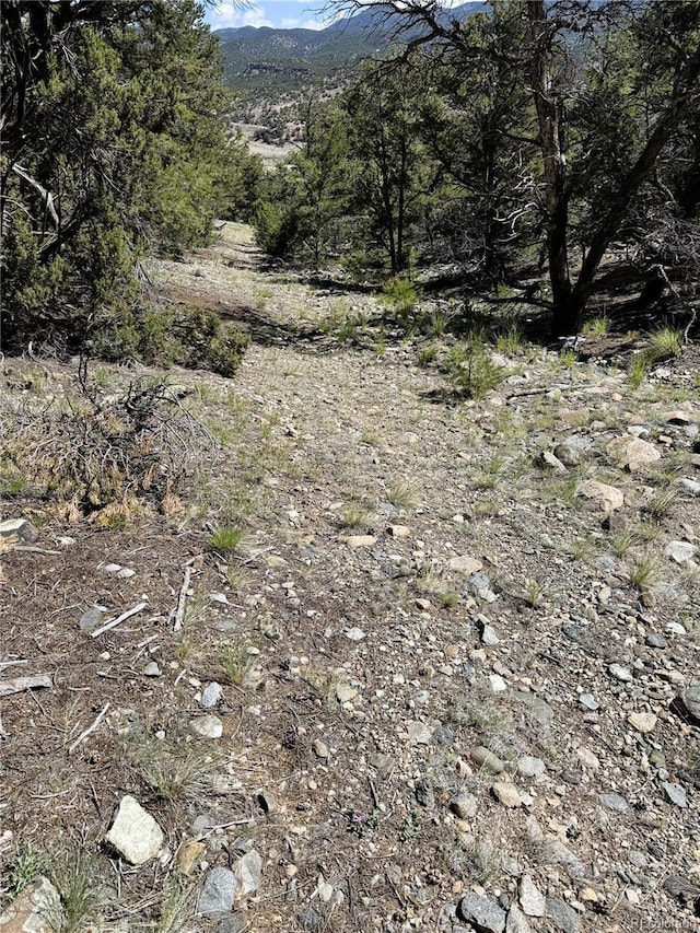 10990 US Highway 50, Howard, CO 81233 - photo 26