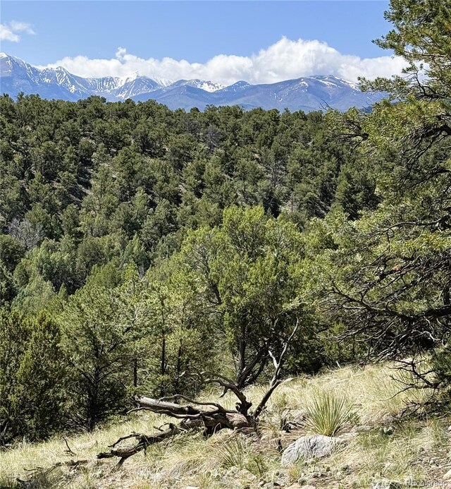 10990 US Highway 50, Howard, CO 81233 - photo 28