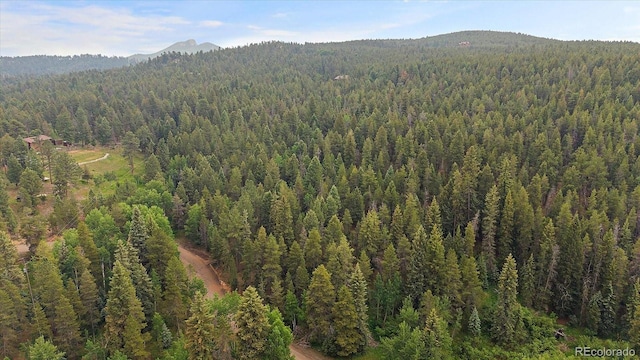 27578 Timber Trl, Conifer, CO 80433 - photo 1