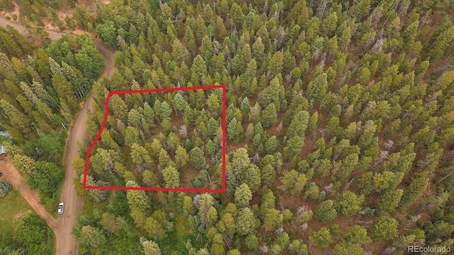 27578 Timber Trl, Conifer, CO 80433 - photo 2