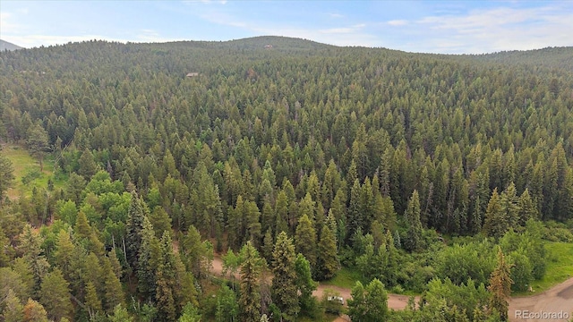 27578 Timber Trl, Conifer, CO 80433 - photo 3