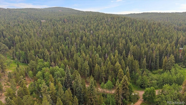 27578 Timber Trl, Conifer, CO 80433 - photo 4