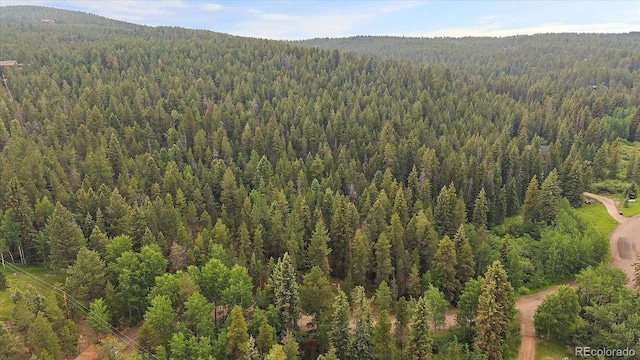 27578 Timber Trl, Conifer, CO 80433 - photo 5
