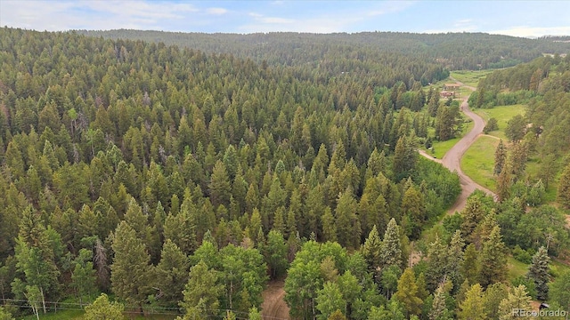 27578 Timber Trl, Conifer, CO 80433 - photo 6