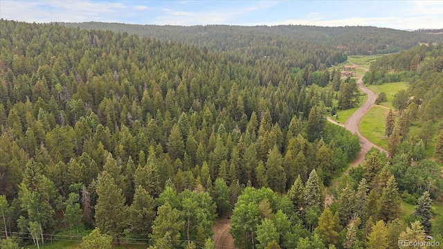 27578 Timber Trl, Conifer, CO 80433 - photo 7