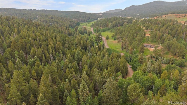 27578 Timber Trl, Conifer, CO 80433 - photo 8