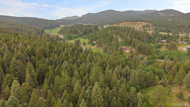 27578 Timber Trl, Conifer, CO 80433 - photo 9