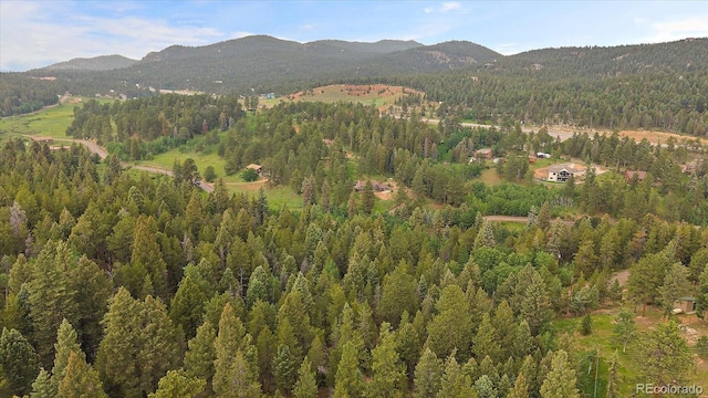27578 Timber Trl, Conifer, CO 80433 - photo 10