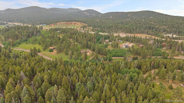 27578 Timber Trl, Conifer, CO 80433 - photo 11