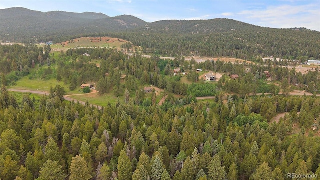 27578 Timber Trl, Conifer, CO 80433 - photo 12