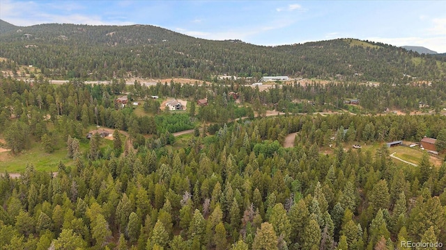 27578 Timber Trl, Conifer, CO 80433 - photo 13