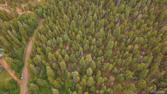 27578 Timber Trl, Conifer, CO 80433 - photo 14