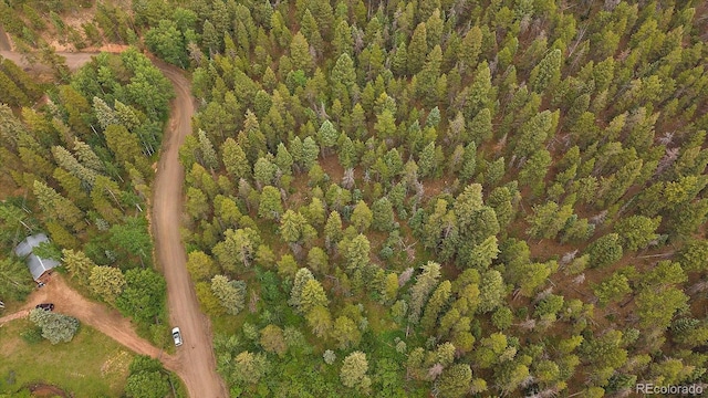 27578 Timber Trl, Conifer, CO 80433 - photo 15