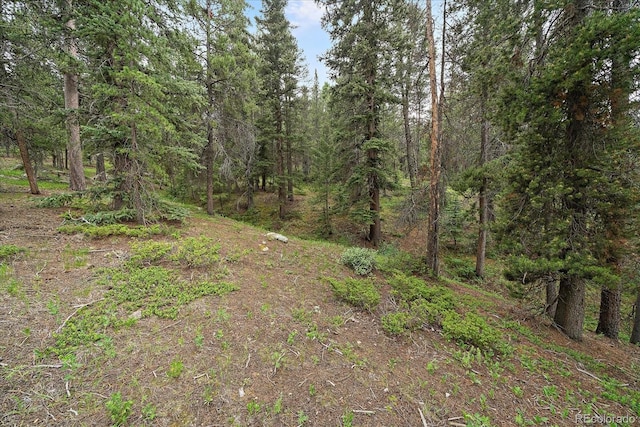 27578 Timber Trl, Conifer, CO 80433 - photo 16