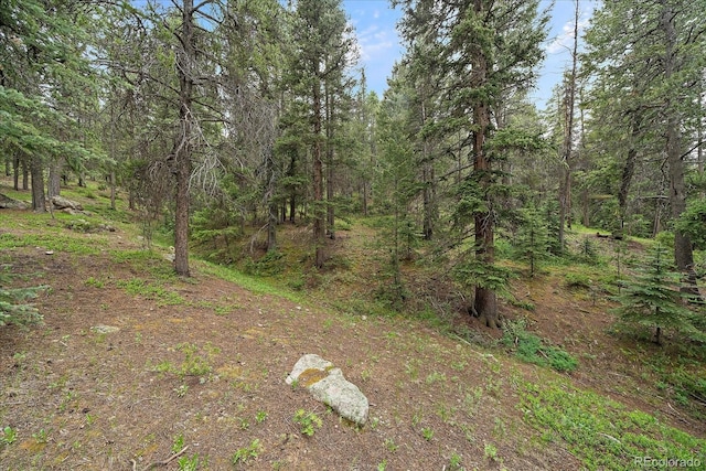 27578 Timber Trl, Conifer, CO 80433 - photo 17