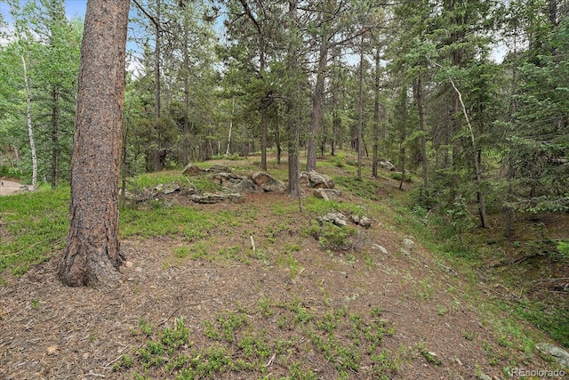 27578 Timber Trl, Conifer, CO 80433 - photo 18