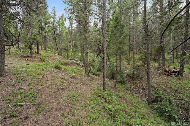 27578 Timber Trl, Conifer, CO 80433 - photo 19