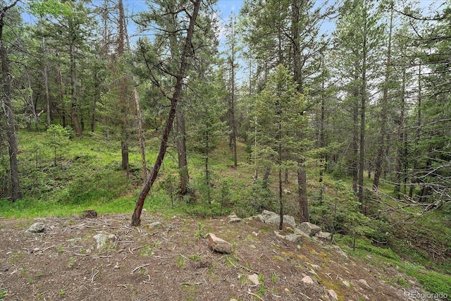 27578 Timber Trl, Conifer, CO 80433 - photo 20