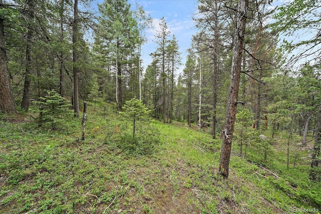 27578 Timber Trl, Conifer, CO 80433 - photo 21