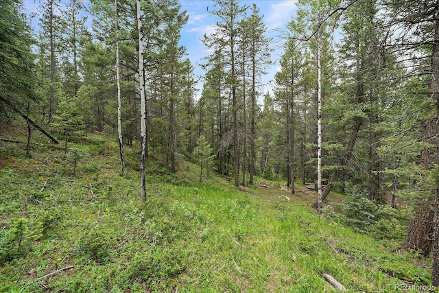27578 Timber Trl, Conifer, CO 80433 - photo 22