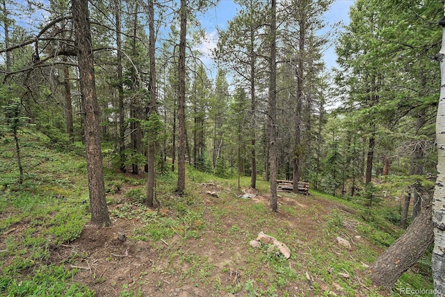 27578 Timber Trl, Conifer, CO 80433 - photo 23