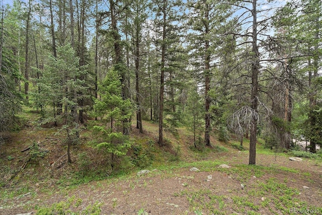 27578 Timber Trl, Conifer, CO 80433 - photo 24