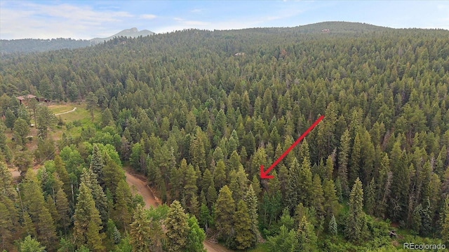 27578 Timber Trl, Conifer, CO 80433 - photo 25