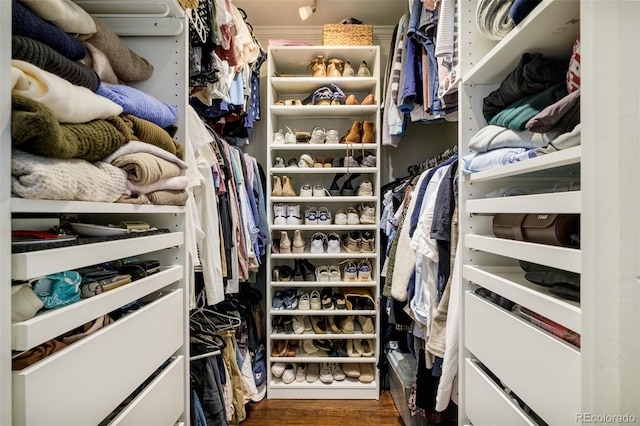 spacious closet with dark wood-style flooring