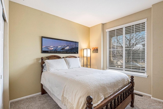 10247 Telluride Way, Commerce City, CO 80022 - bedroom with carpet floors
