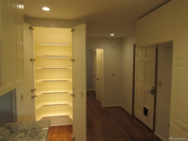 interior space with dark hardwood / wood-style flooring