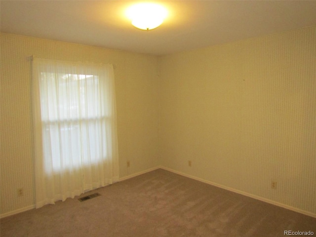 spare room with carpet flooring