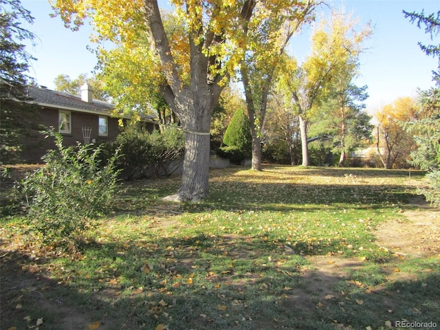 view of yard