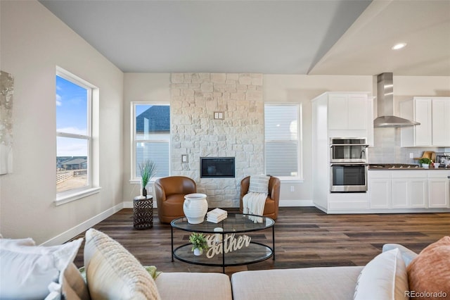 living area with baseboards, dark wood finished floors, and a stone fireplace